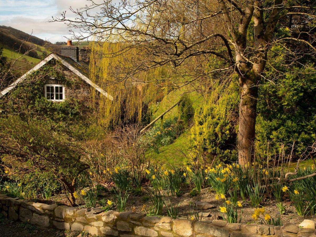 Dolgenau Cottages Trefeglwys المظهر الخارجي الصورة